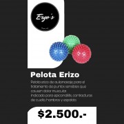 Pelota Erizo