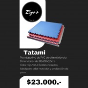 Tatami - Mt2